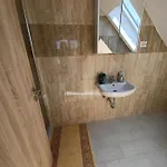 Guest house Fazekas Vendeghaz 3*